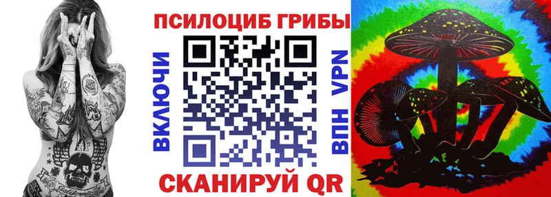 где найти наркотики  Весьегонск  Галлюциногенные грибы Psilocybine cubensis 